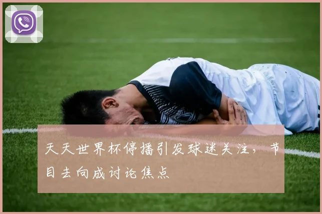 天天世界杯停播引发球迷关注，节目去向成讨论焦点