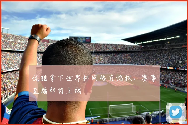 优酷拿下世界杯网络直播权，赛事直播即将上线