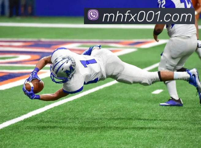 世界杯官网登录app服务体系